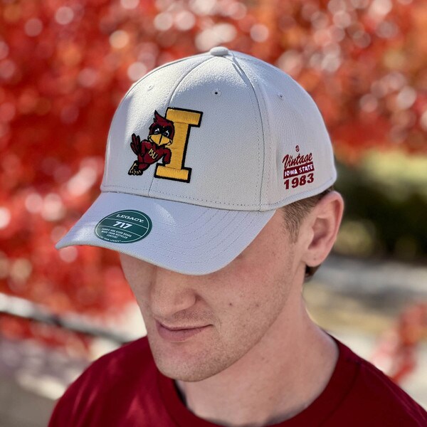 L2 Leaning Cy Gray Structured Hat